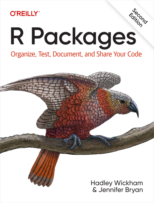 Cover of the R packages textbook