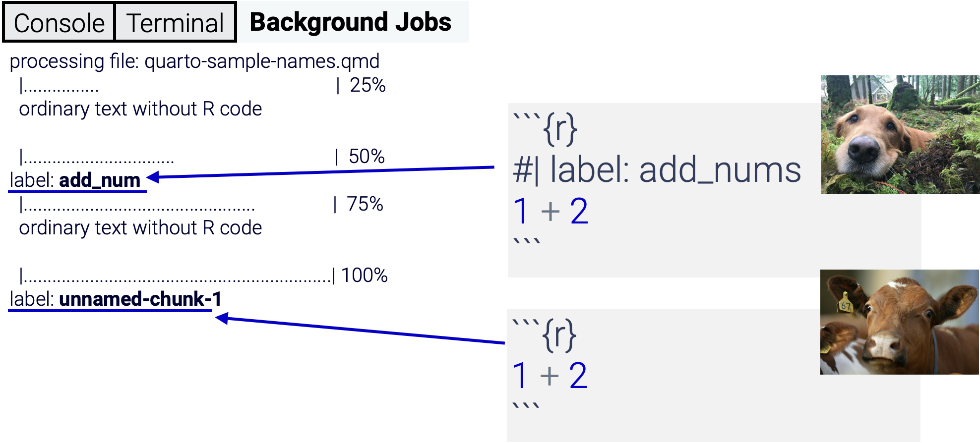 Describing each code chunk using either a label or omitting the label and its consequences in finding errors.