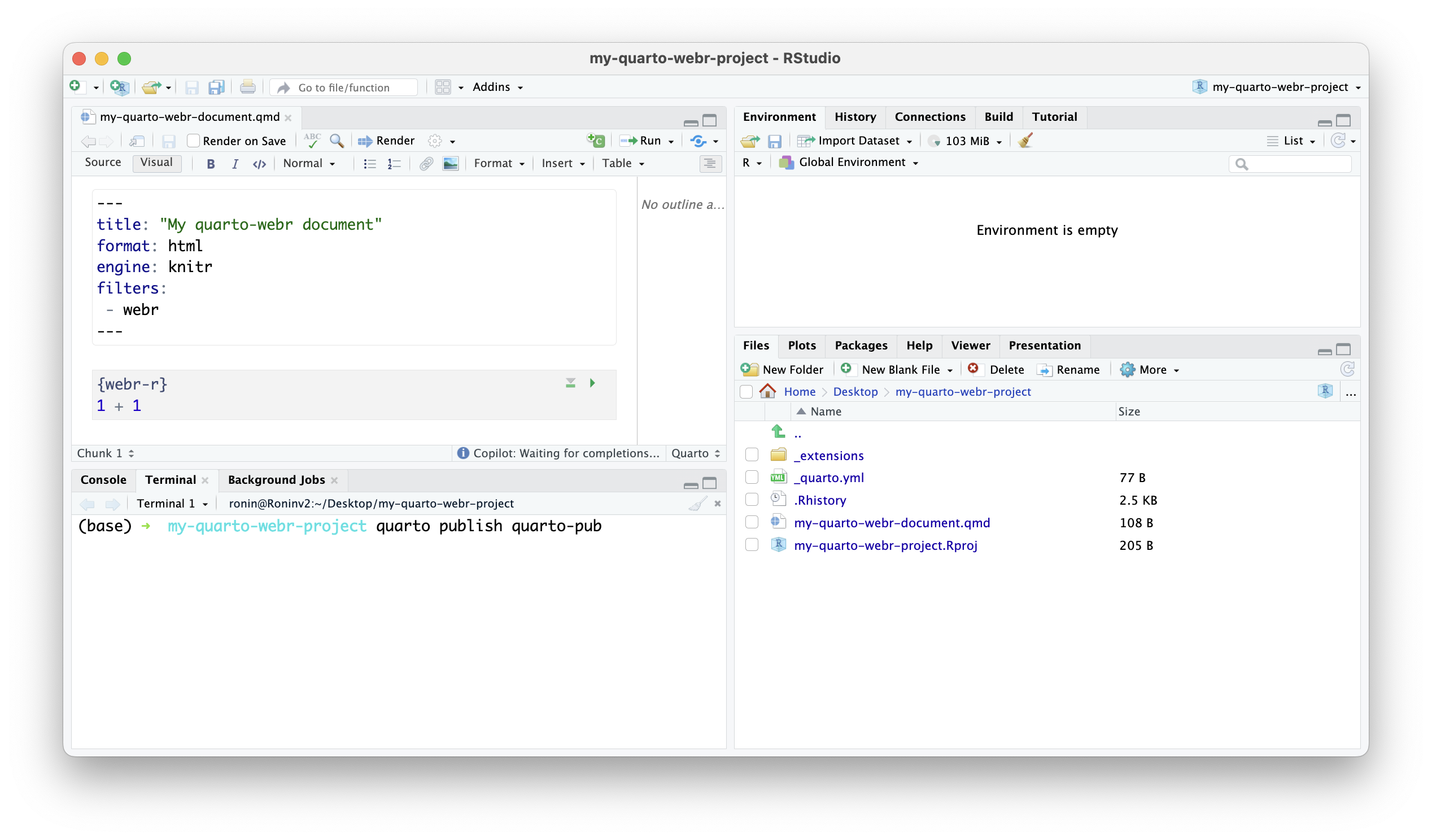 A screenshot showing how to publish the Quarto document onto Quarto Pub by using Terminal.