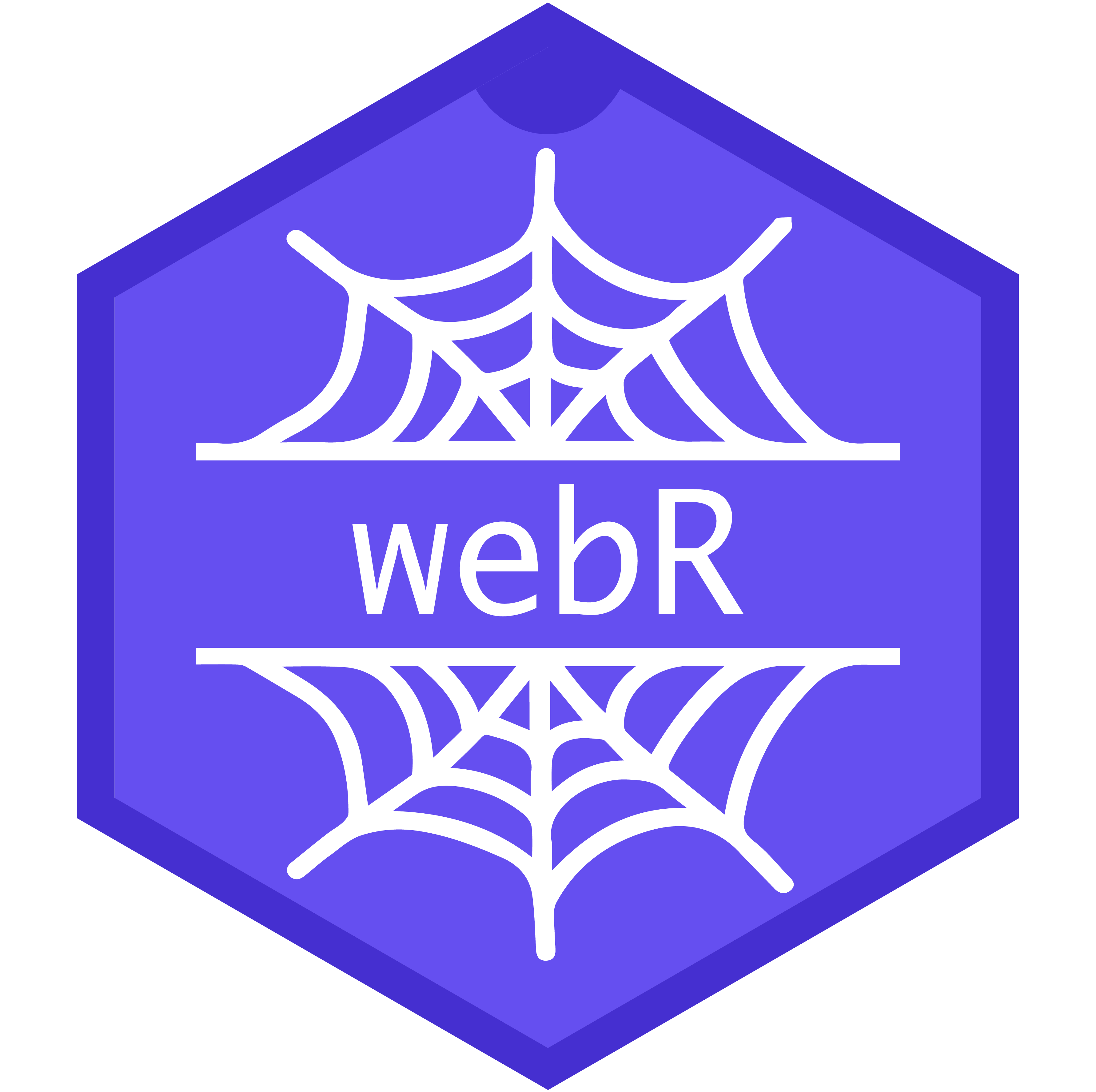 The webR hexagon logo